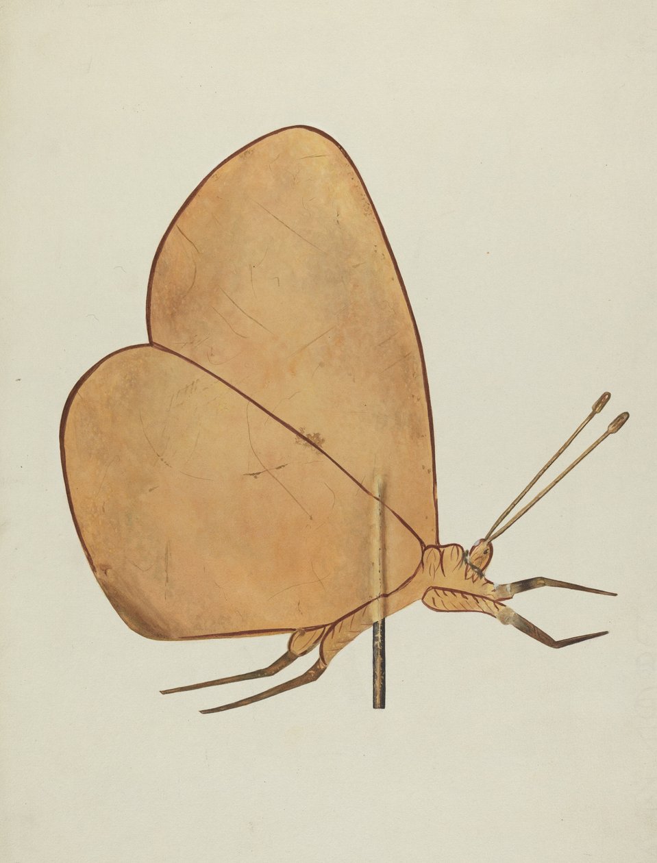 Borboleta Cata-vento, c. 1938. de Hazel Hyde