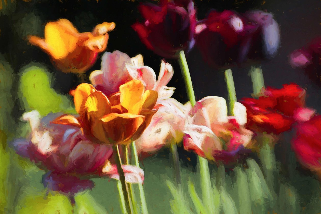 Campo de Tulipas, 2018, de Helen White