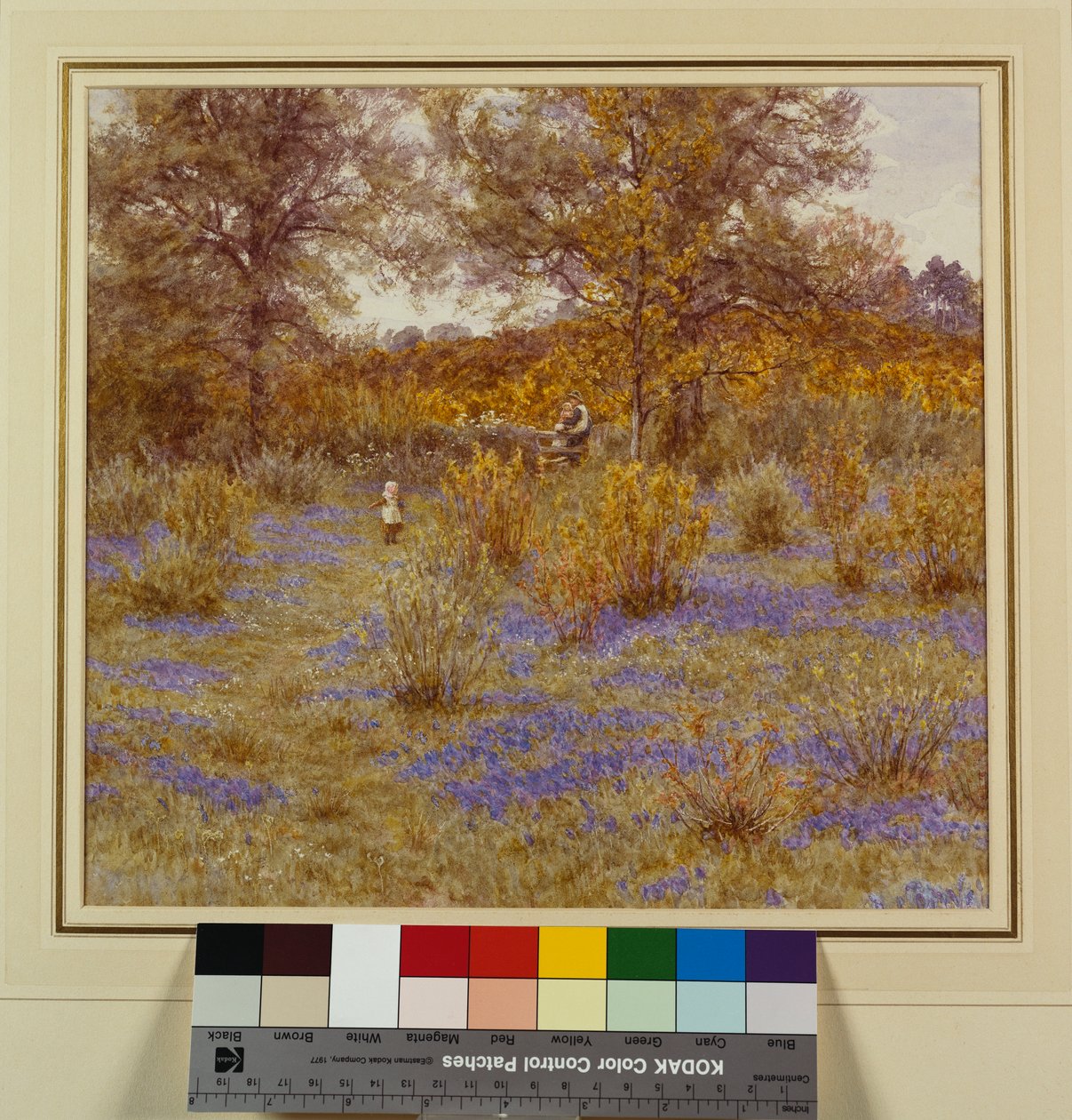 Bluebell Copse, 1889 de Helen Allingham