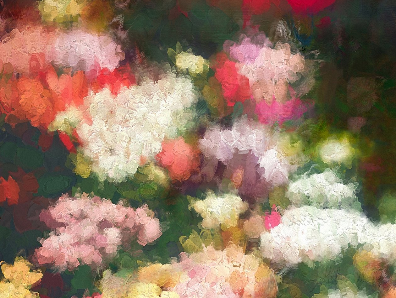 Jardim do Coração, 2018 de Helen White