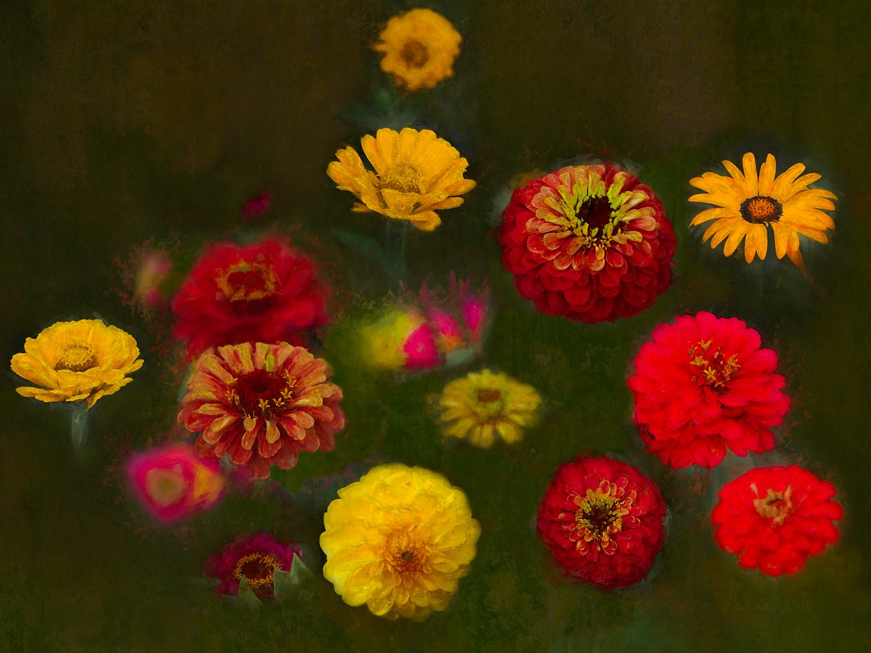 Beleza Excepcional, 2019 de Helen White