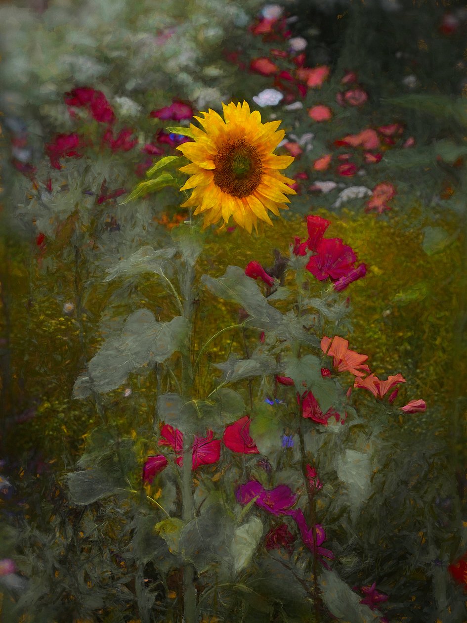 Sun King, 2019 de Helen White