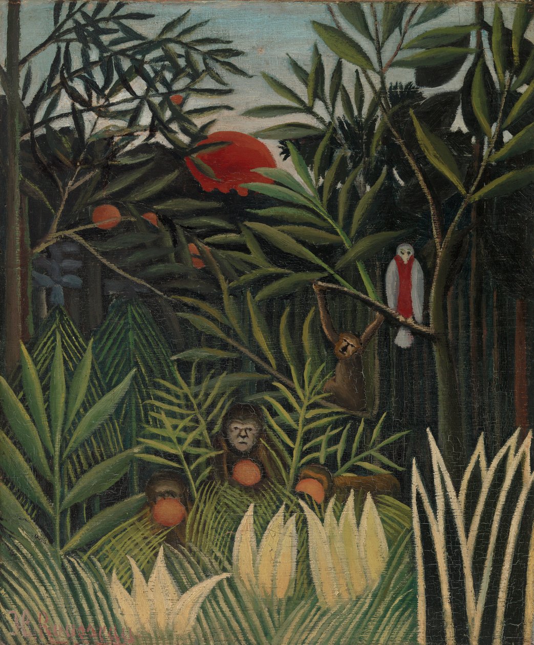 Macacos e papagaios na floresta virgem (macacos e papagaio na floresta virgem) de Henri Rousseau