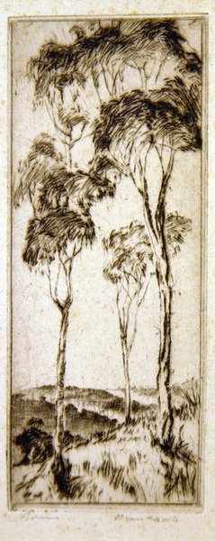 Gomíferas (gravura) de Henri van Raalte