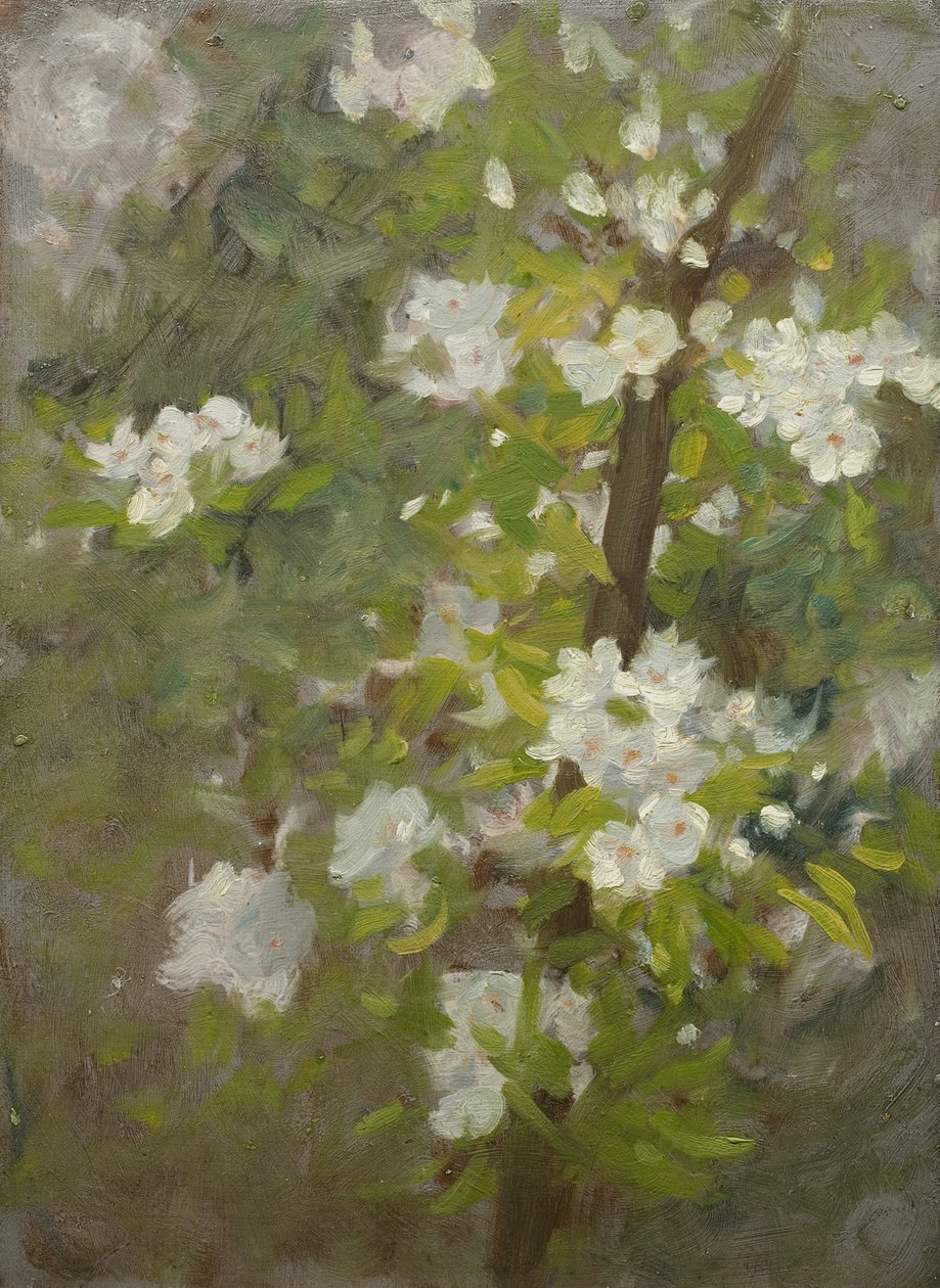 Flor branca de Henry Scott Tuke