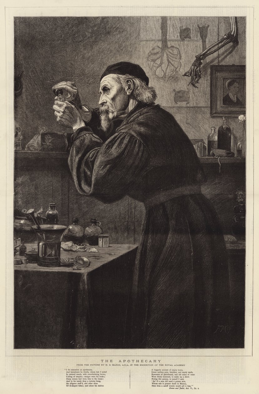 The Apothecary de Henry Stacey Marks