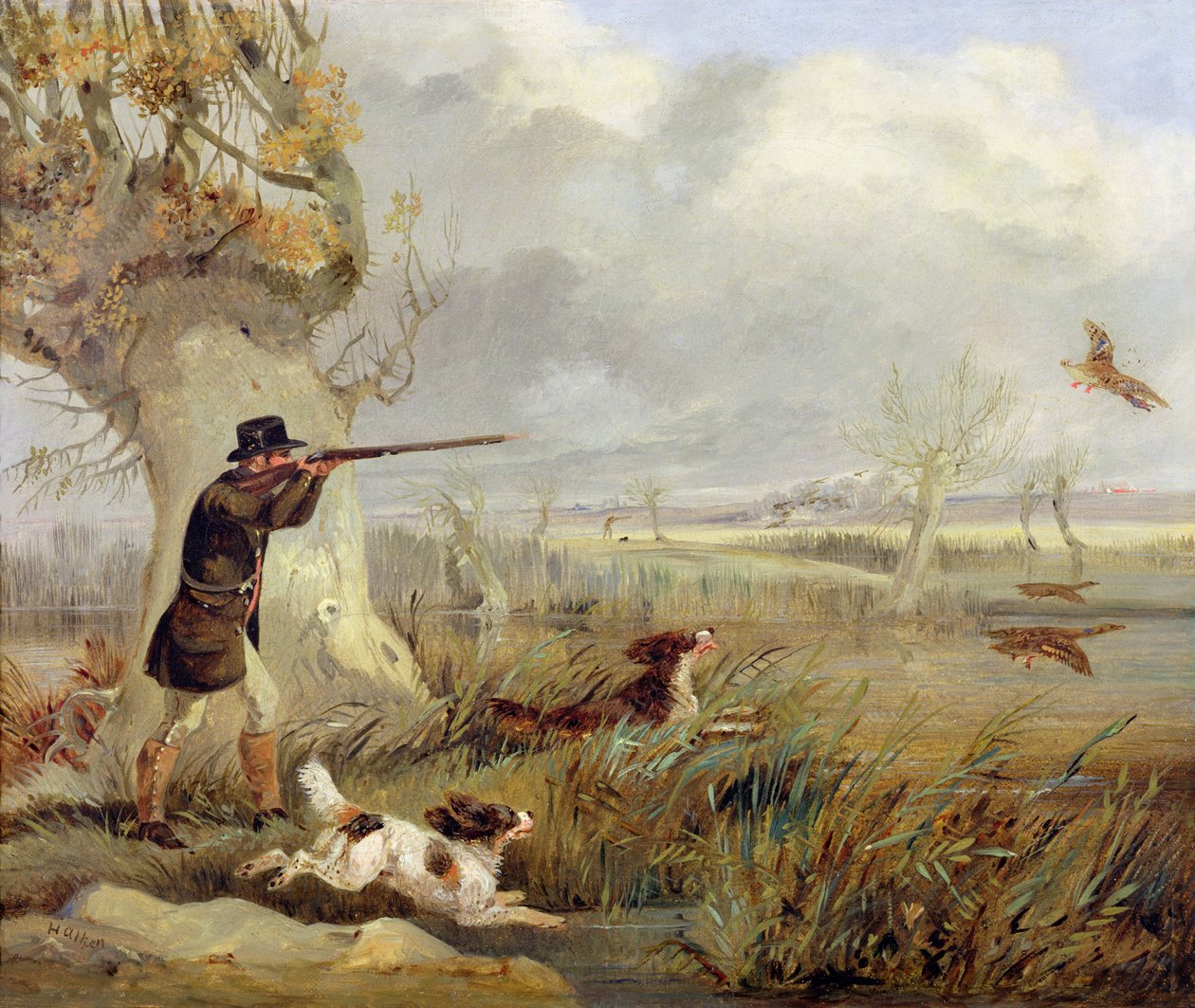 Pato Tiro de Henry Thomas Alken