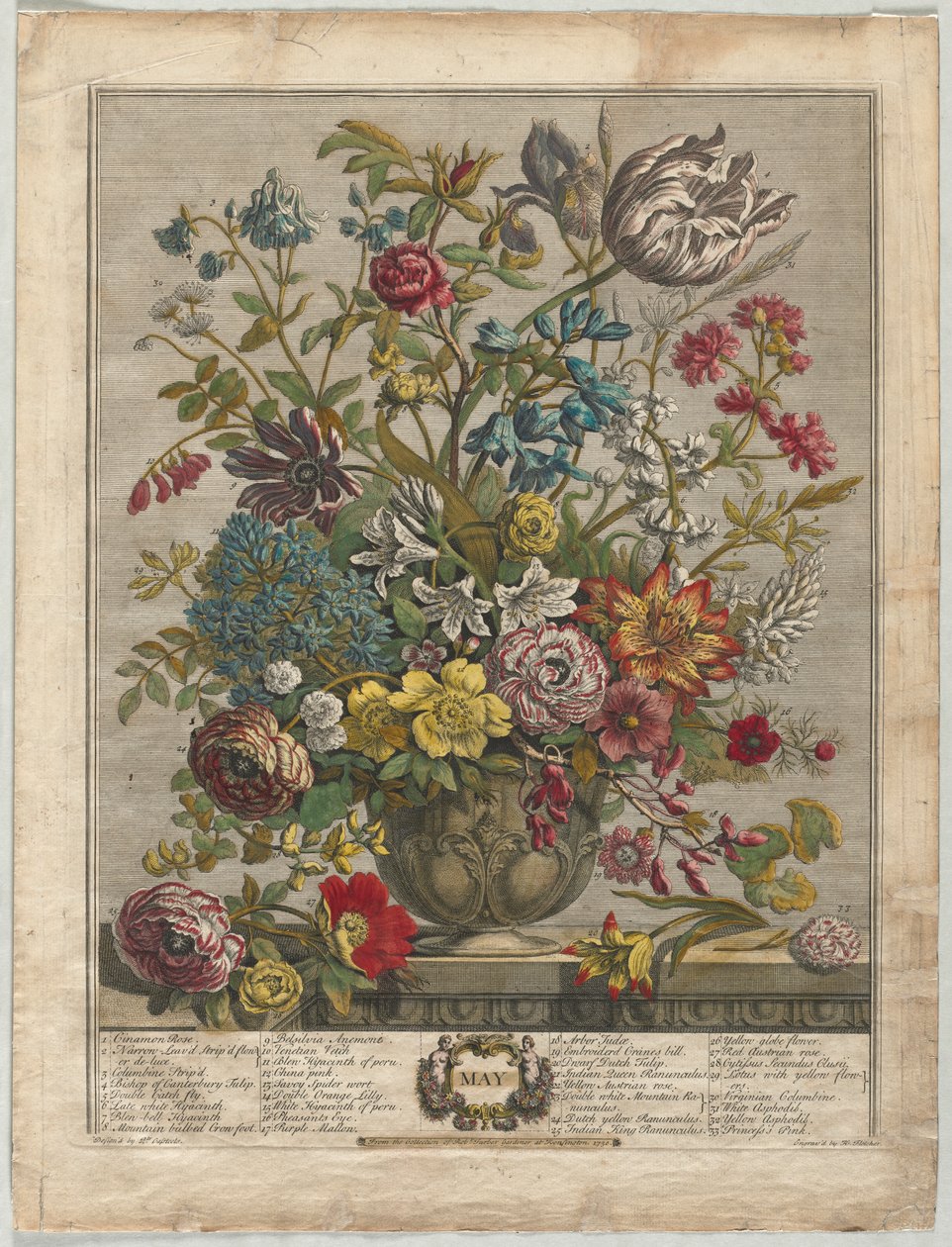 Doze meses de flores: maio de Henry Fletcher