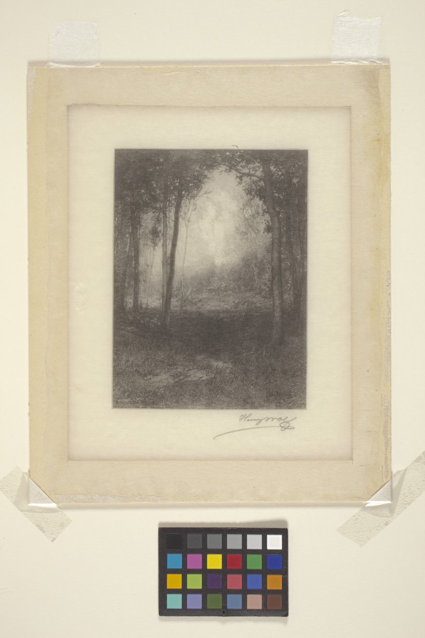 Em Os Adirondacks (tinta) de Henry Wolf
