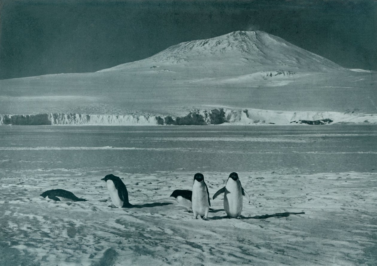 Monte Erebus, c1911, 1913 de Herbert Ponting