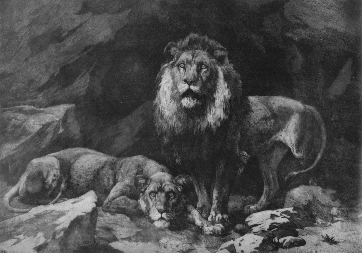 Roused !, c1910, 1911 de Herbert Thomas Dicksee