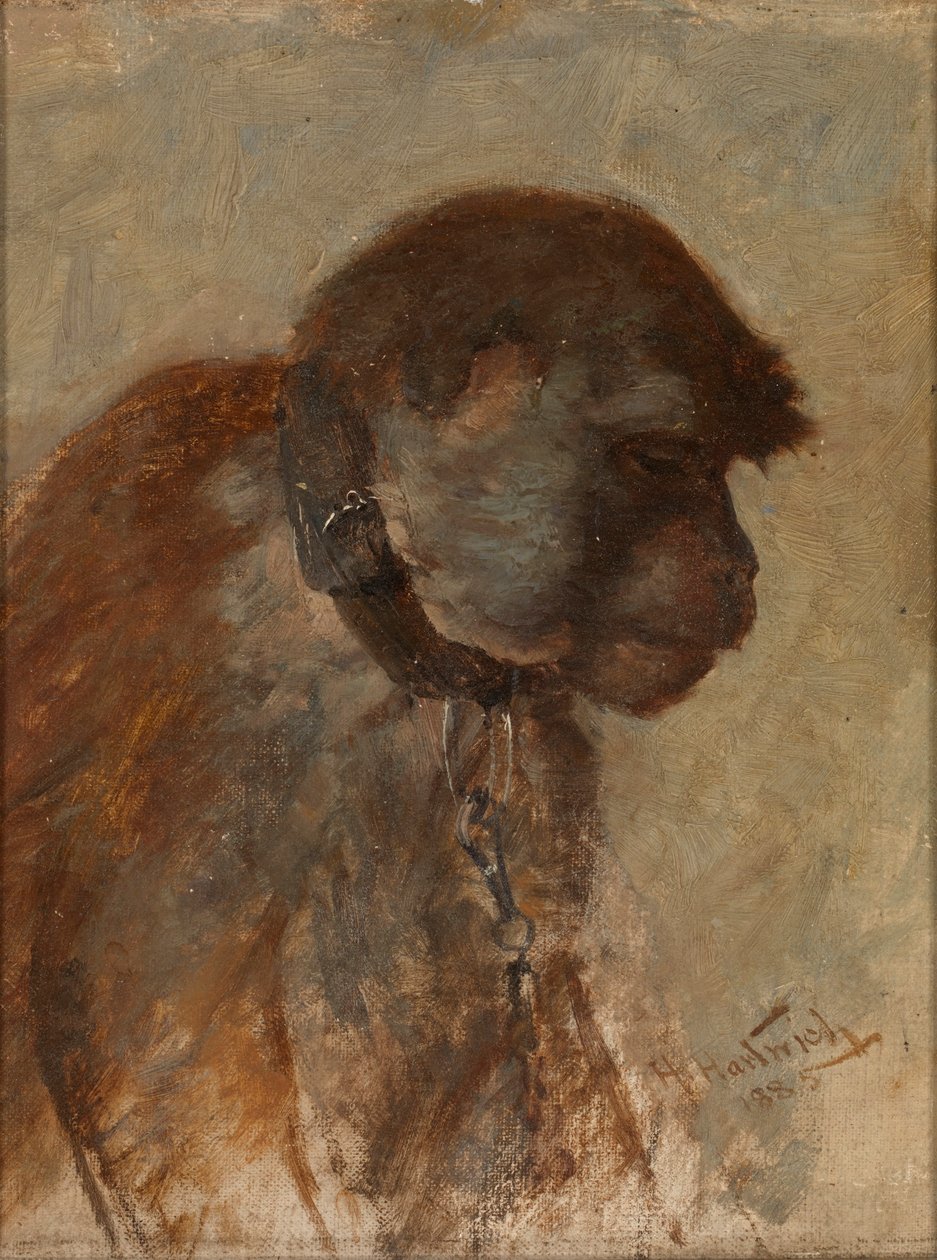 Meditação de Herman Hartwich