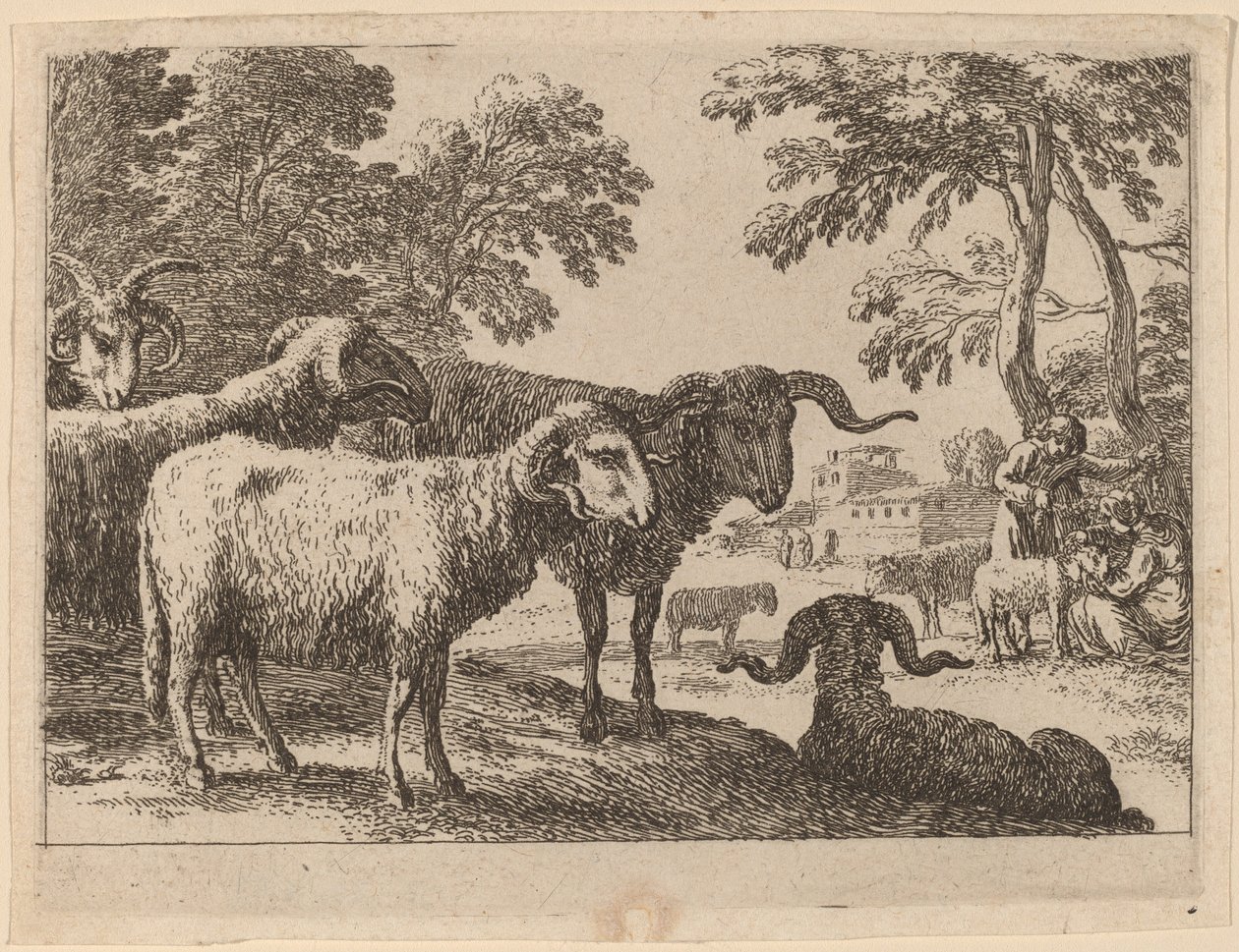 Carneiros de Herman van Swanevelt