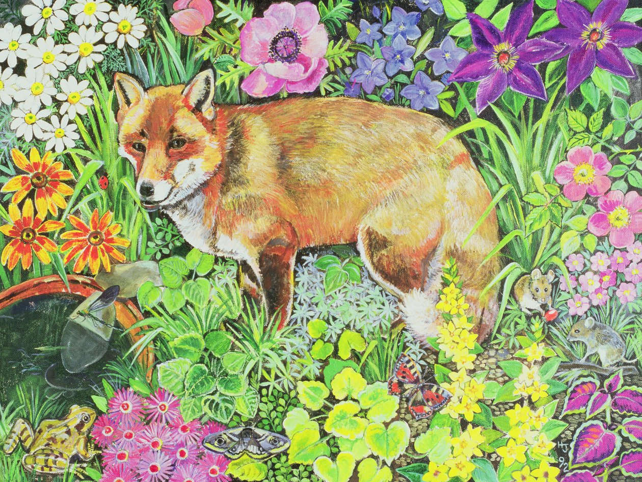 The Barnet Fox de Hilary Jones