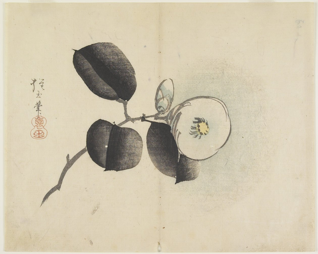 (Camellia Flower and Bud), c. 1830 de Hogyoku