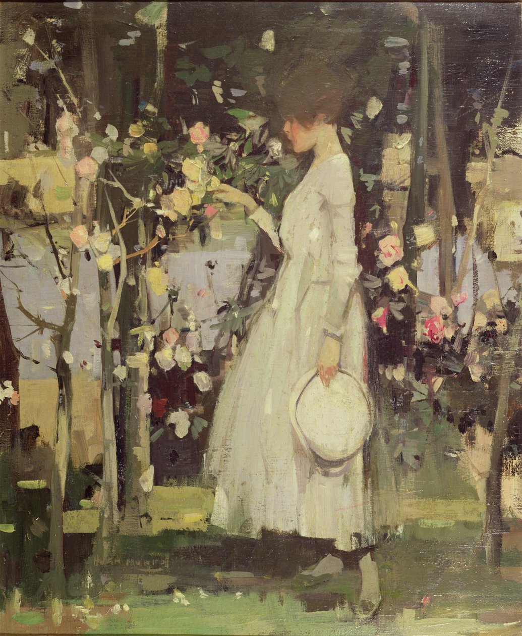 Em um jardim de rosas Galloway de Hugh Munro
