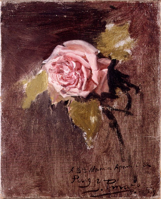Uma rosa de Ignacio Pinazo Camarlench