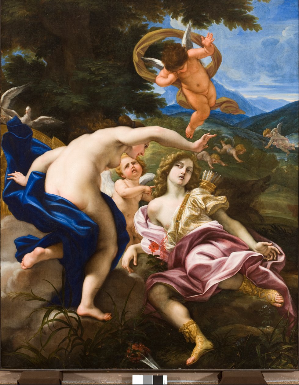 A morte de Adonis, c.1683-85 de Il Baciccio