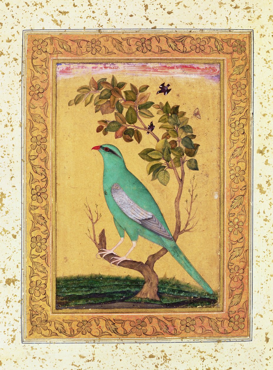 Pássaro verde, Mughal de Indian School