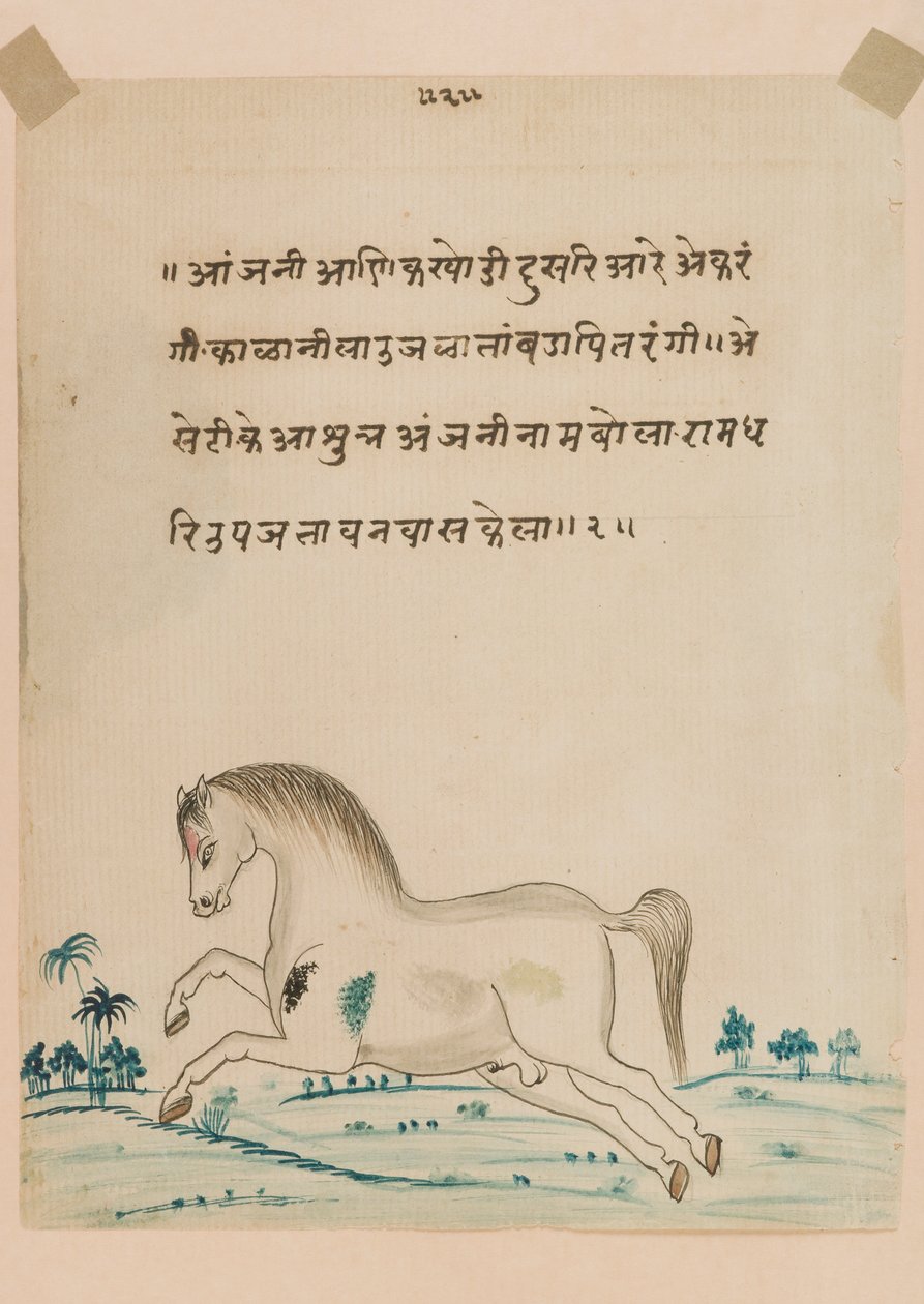 Cavalo (wc opaco no papel) de Indian School