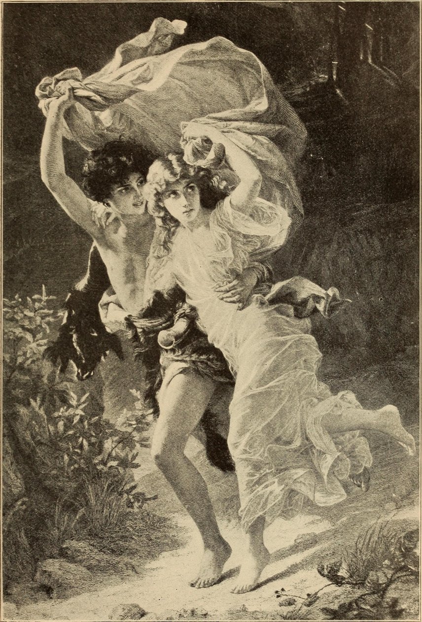 A tempestade de Internet Archive Book Images
