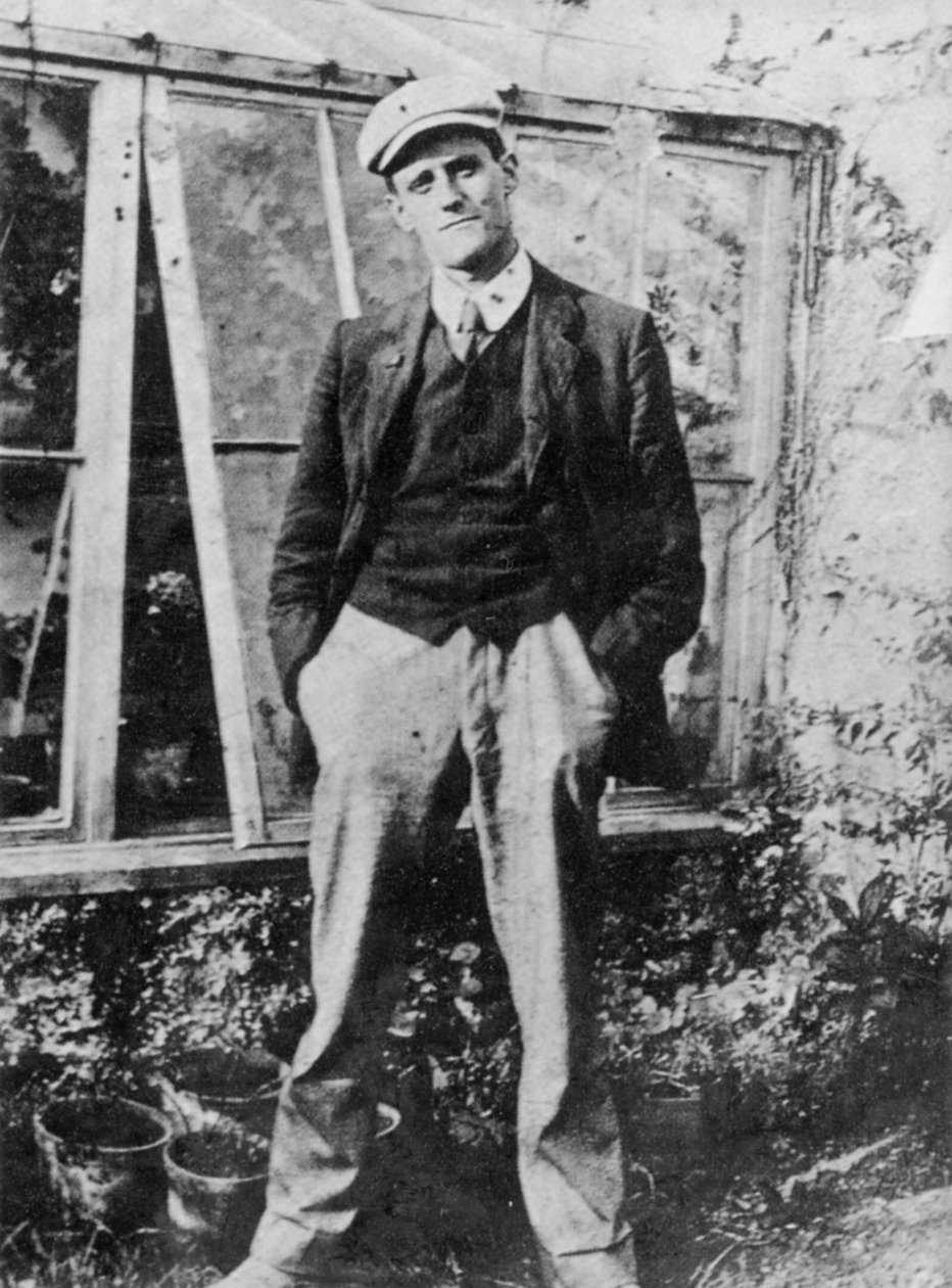 James Joyce no jardim de seu amigo Constantine Curran em Dublin, 1904 de Irish Photographer