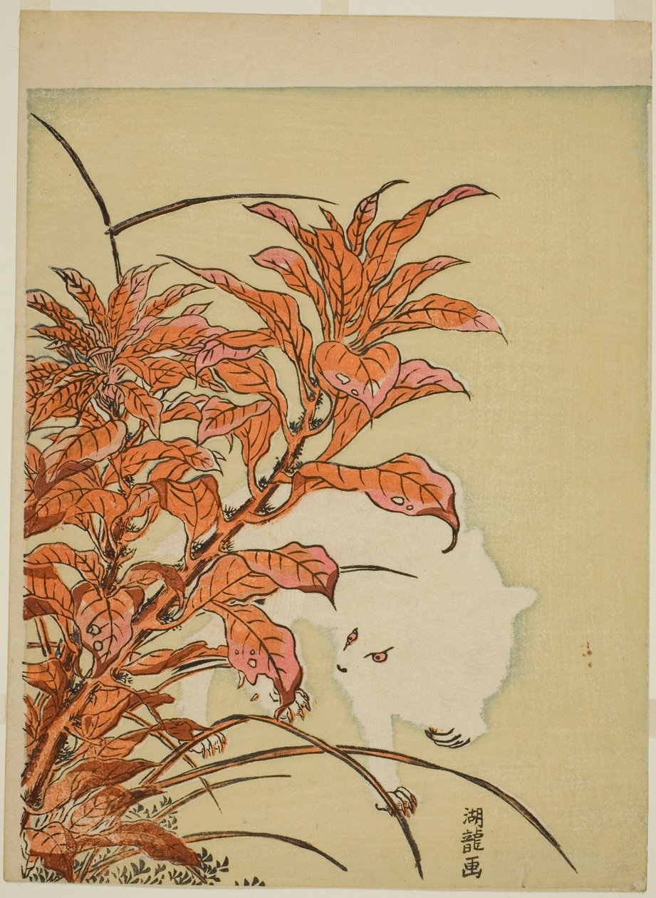 Coelho Branco e Amaranto de Isoda Koryusai