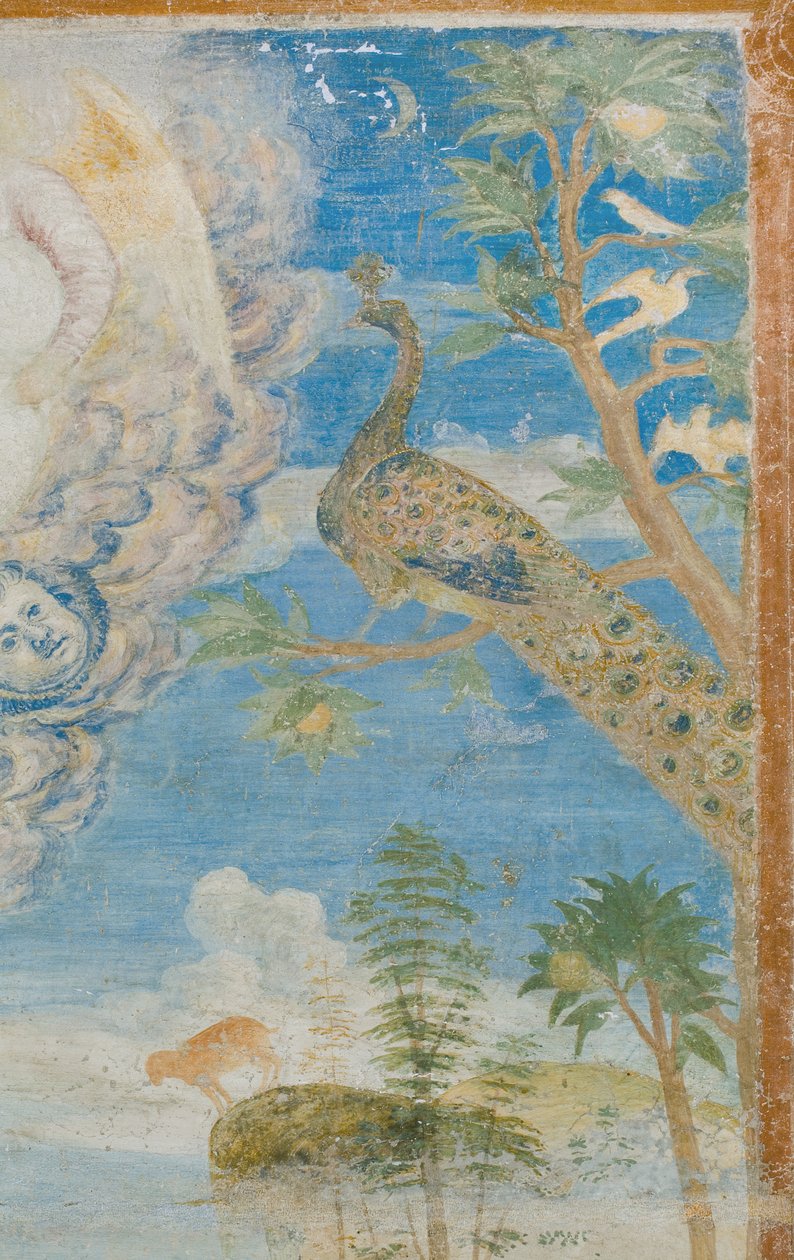 Pavão, detalhe de 3496206 de Italian School