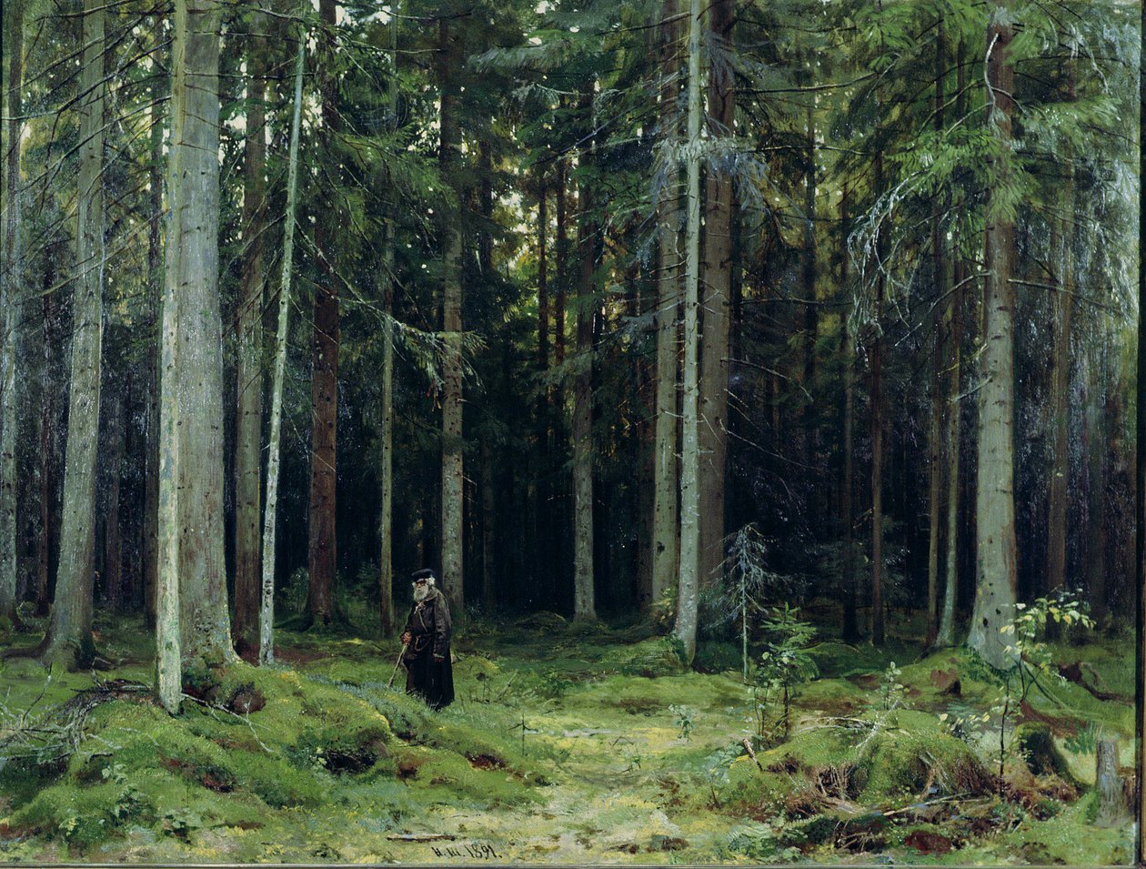 Floresta da Condessa Mordvinov, 1891 de Ivan Ivanovich Shishkin