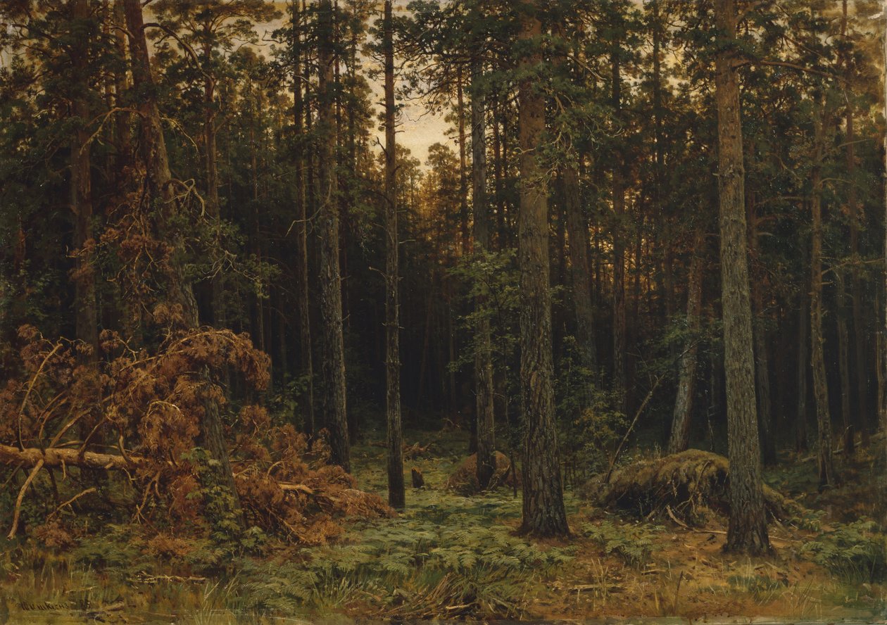 Pinewood, 1885 de Ivan Ivanovich Shishkin
