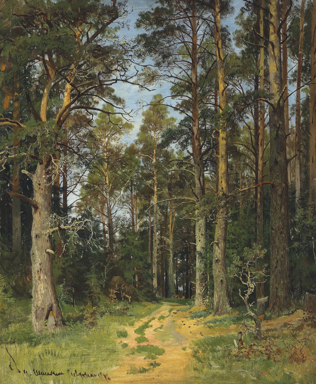 Siverskaya, 1896. de Ivan Ivanovich Shishkin