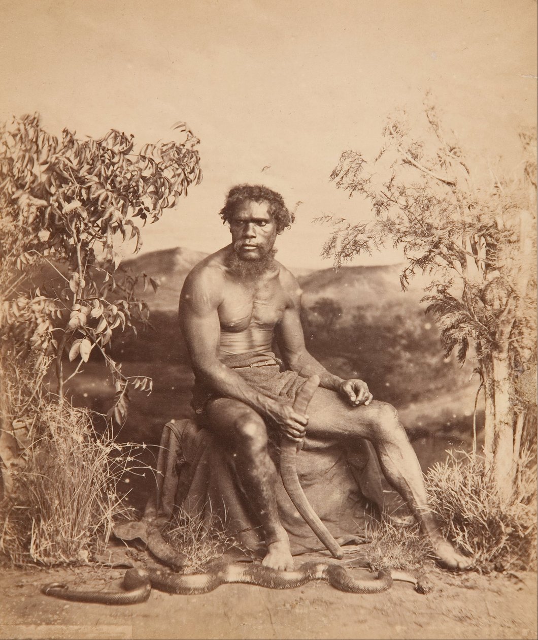 Retrato de um homem aborígine de J W. Lindt