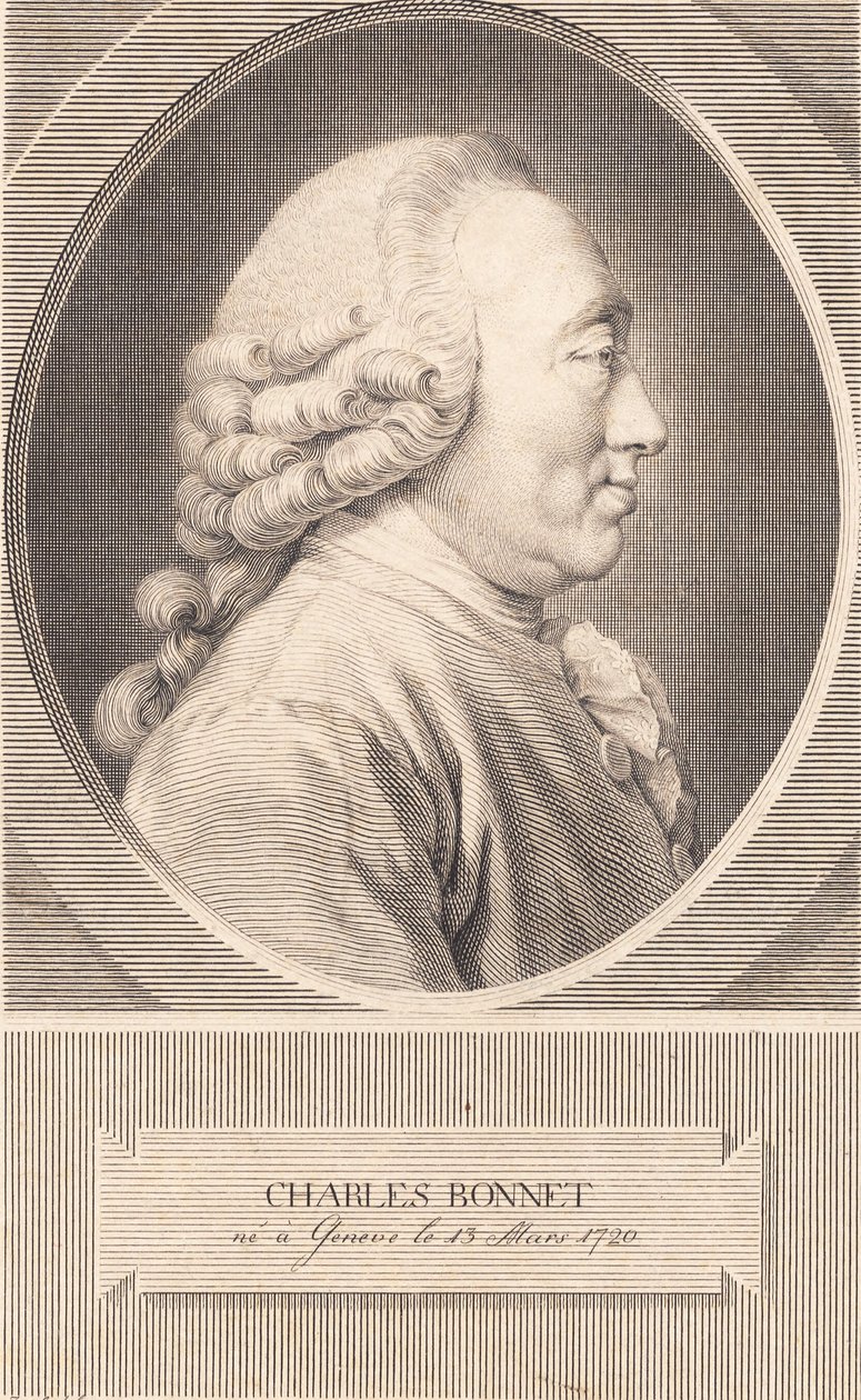 Charles Bonnet de J.F. Clemens