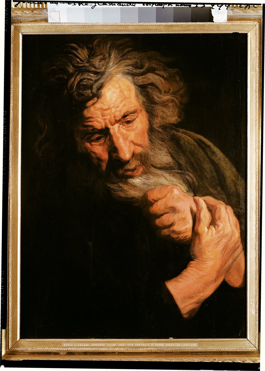 Retrato de um homem de Jacob Jordaens