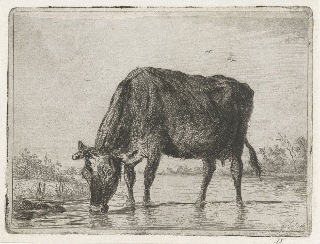 Bebida de vaca de Jacobus Cornelis Gaal