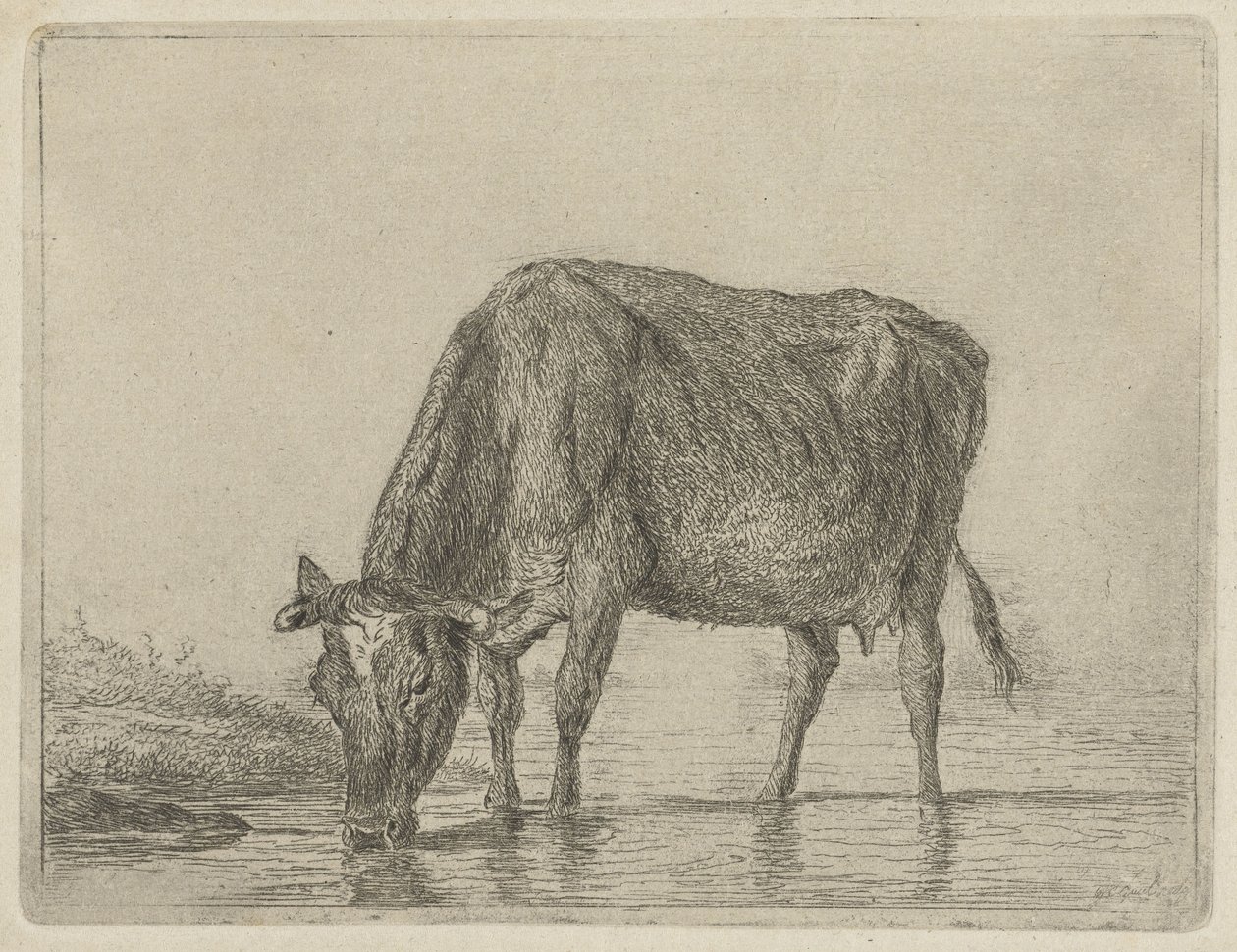 Bebida de vaca de Jacobus Cornelis Gaal