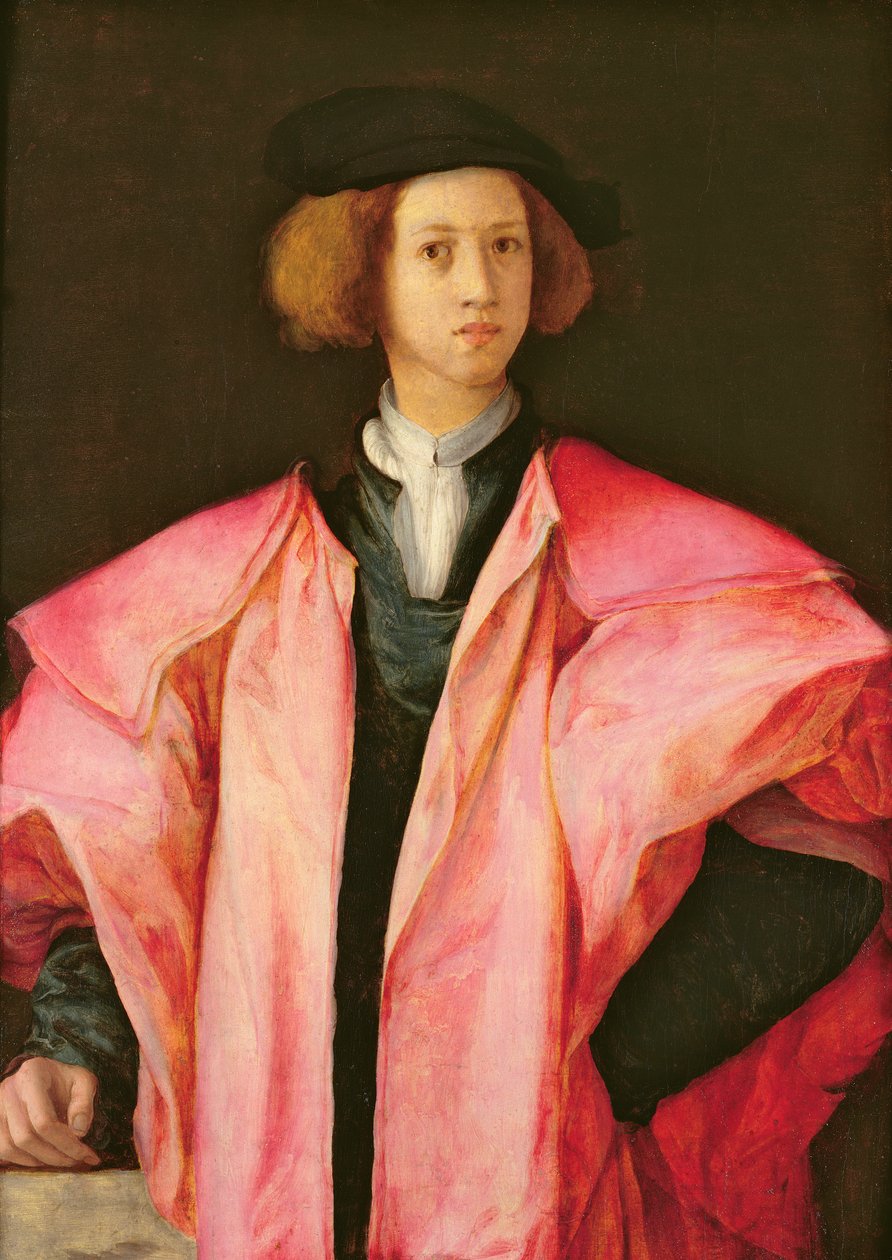 Retrato de um jovem de Jacopo Pontormo
