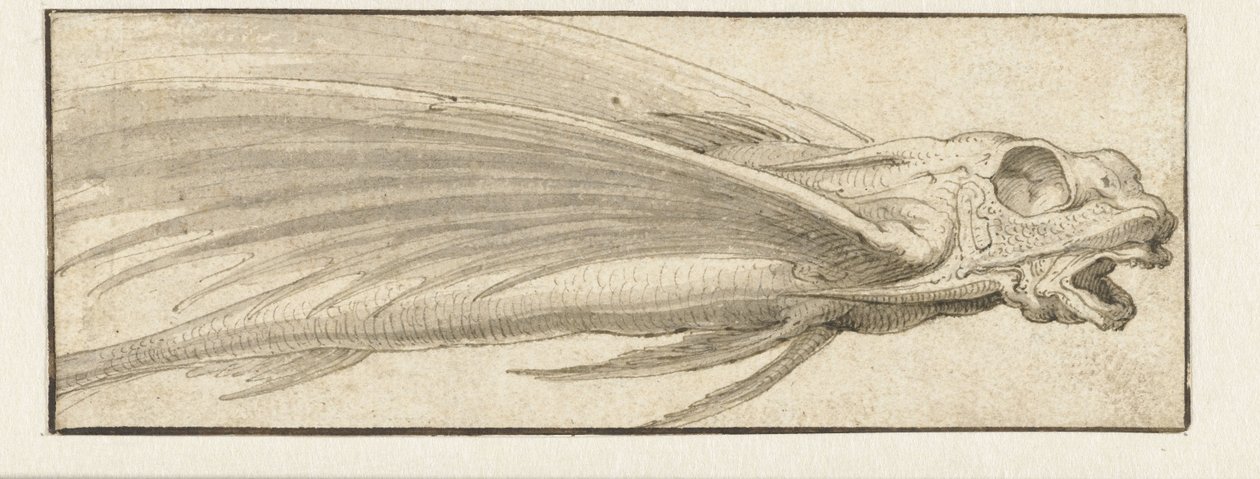 Peixe voador de Jacopo Ligozzi