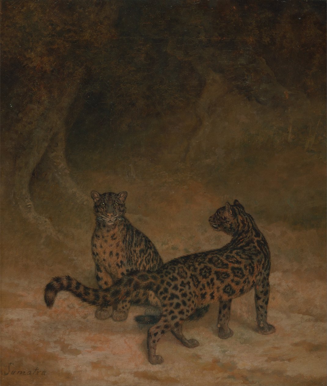Leopardos nublados de Jacques Laurent Agasse