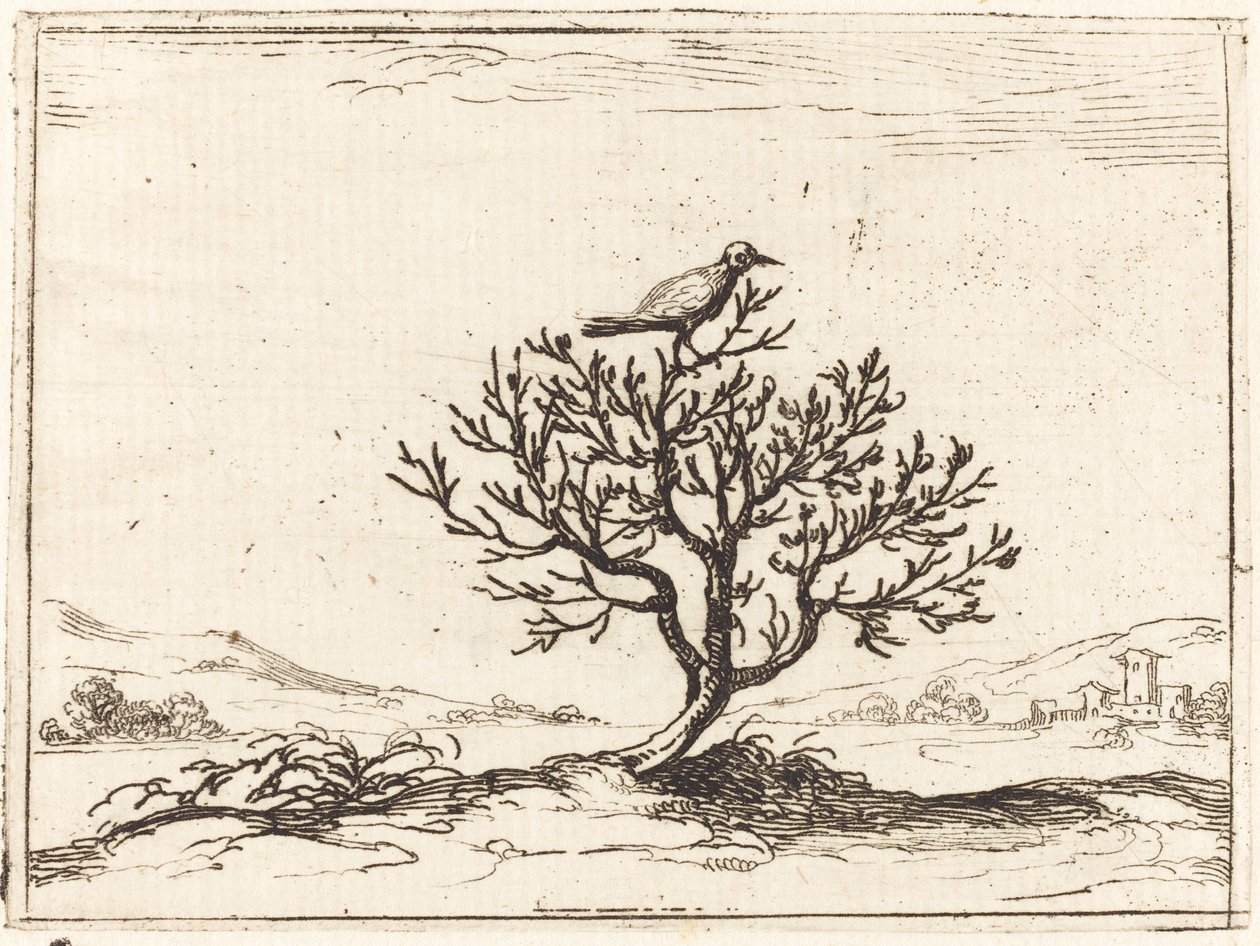 Rouxinol em um Bush de Jacques Callot