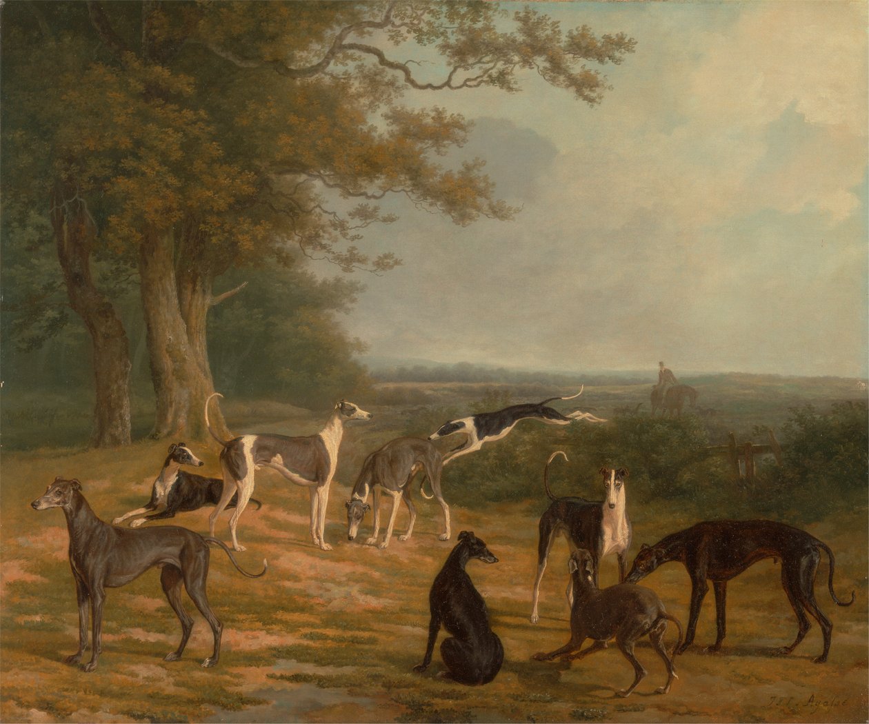 Nove Galgos numa Paisagem de Jacques Laurent Agasse