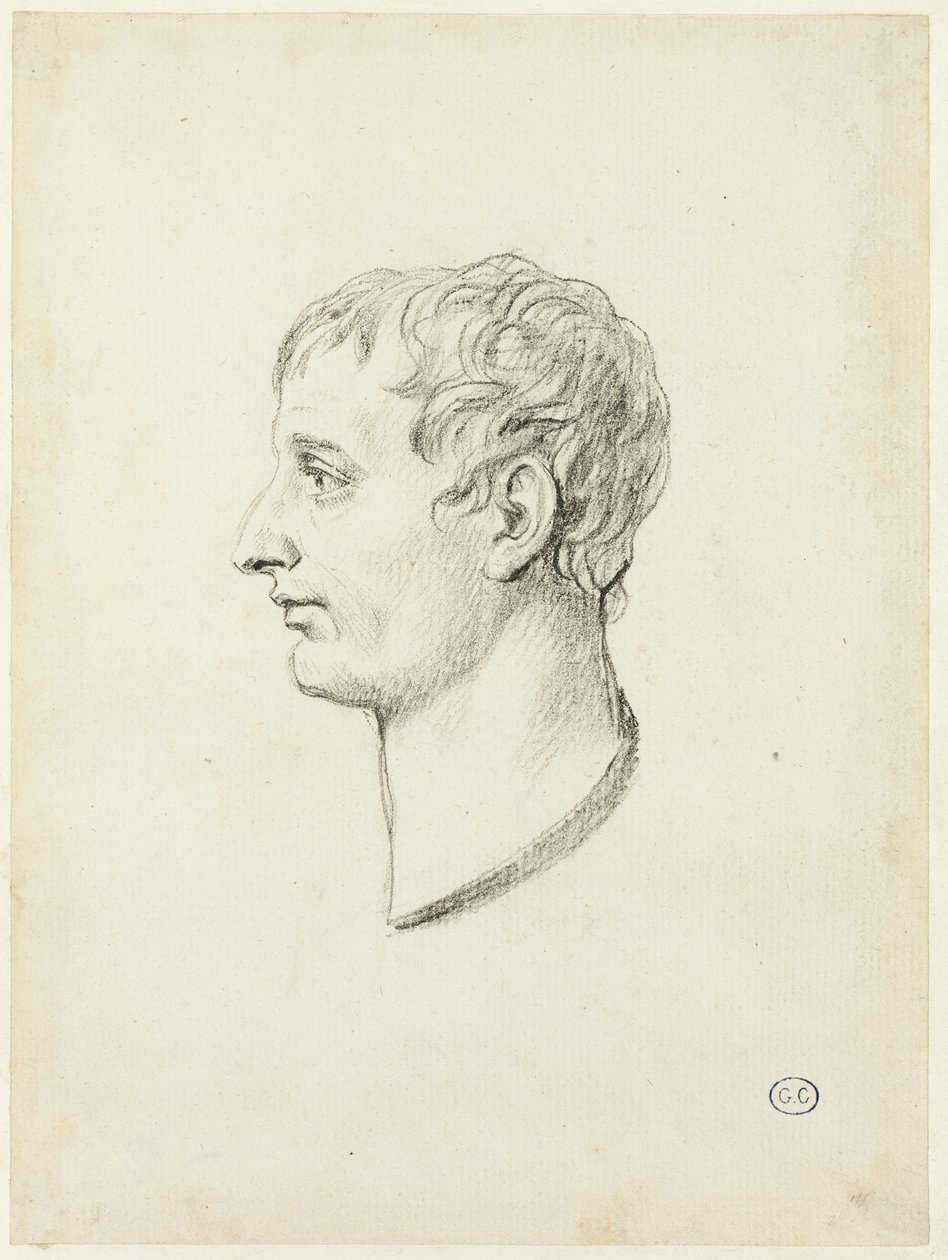 Perfil de Napoleão de Jacques Louis David