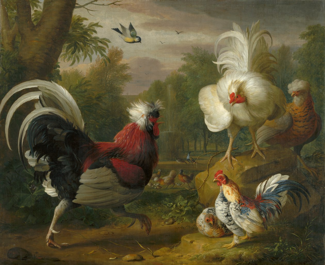 A luta do Cockrel de Jakob Bogdani or Bogdany