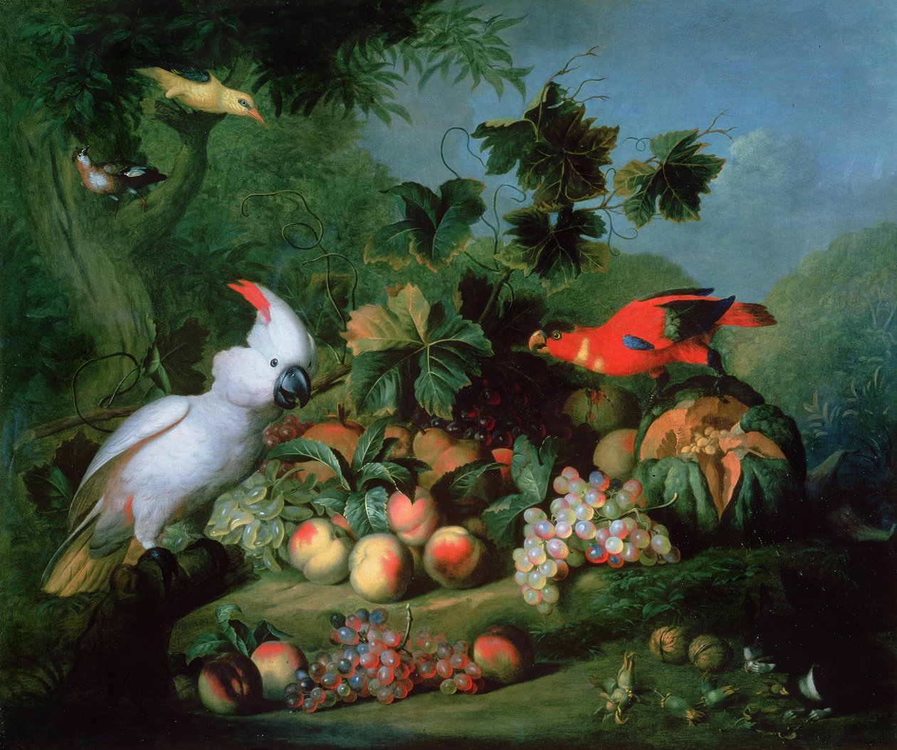 Frutas e Aves de Jakob Bogdani or Bogdany