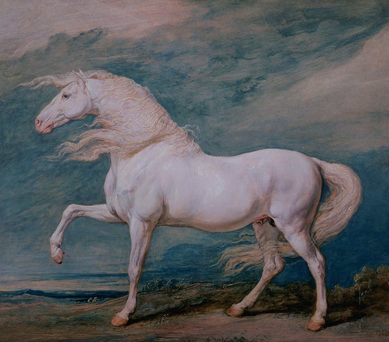 Adonis, um garanhão branco de James Ward