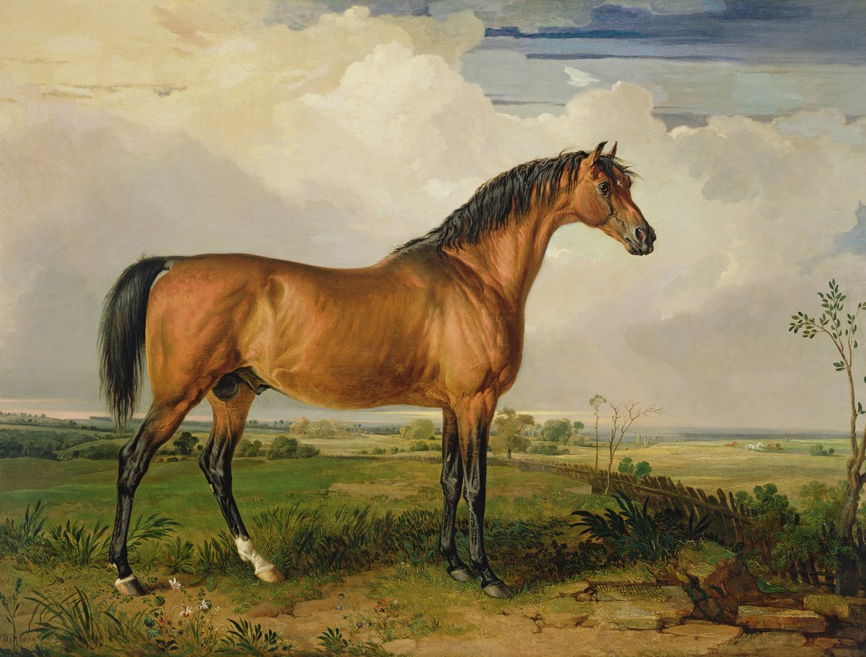 Águia, garanhão célebre de James Ward