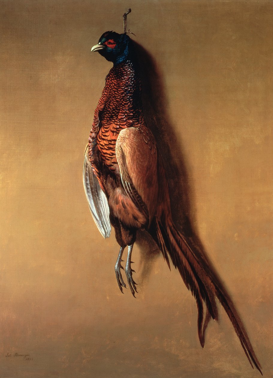 Faisão de galo, 1822 de James Barenger