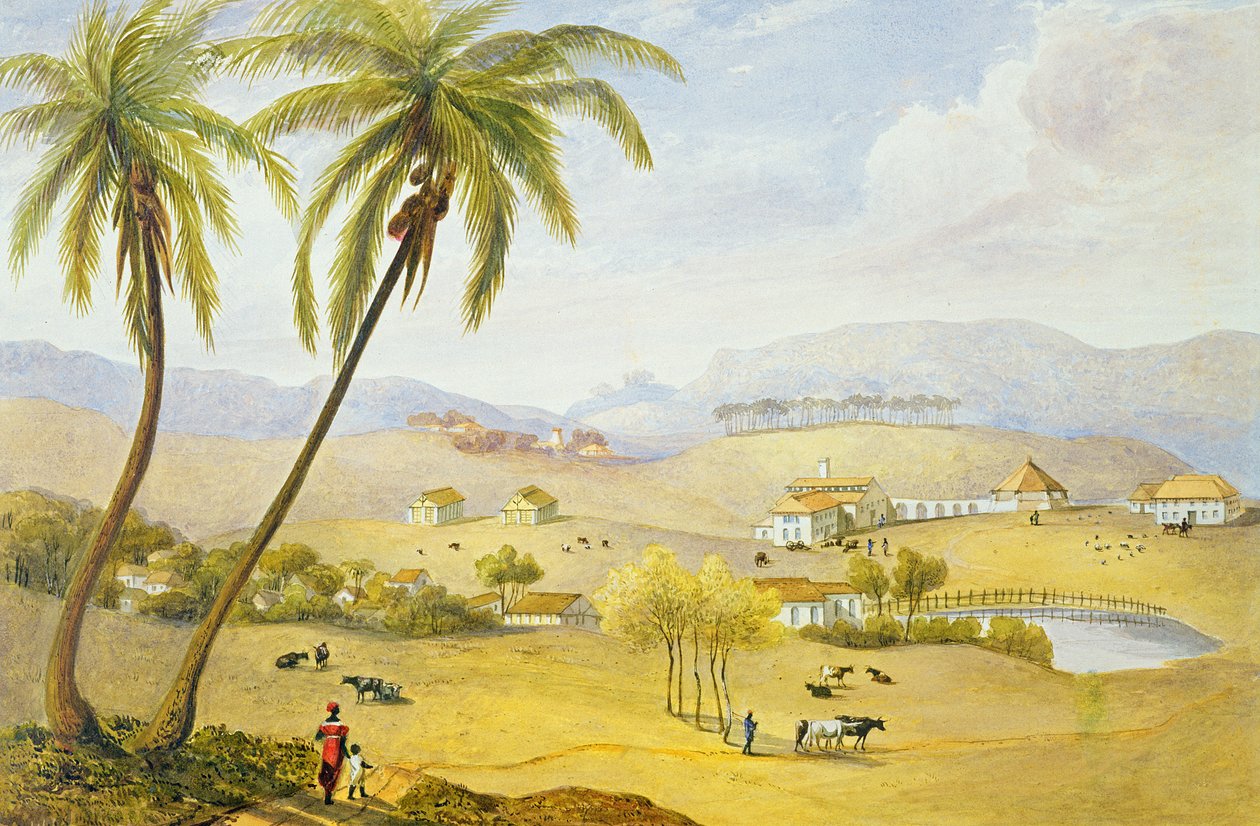 Haughton Court, Hanover, Jamaica, c.1820 de James Hakewill