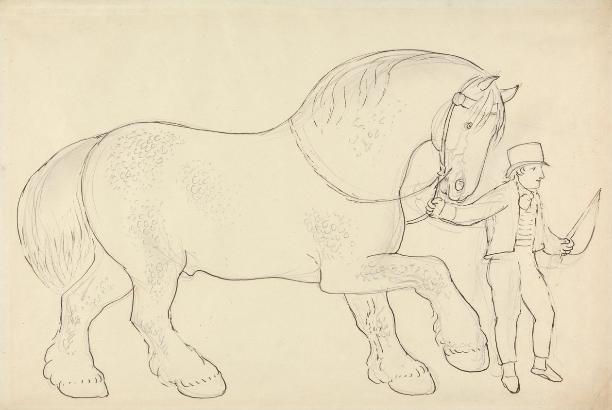 Cavalo de Carrinho a ser Led de James Howe