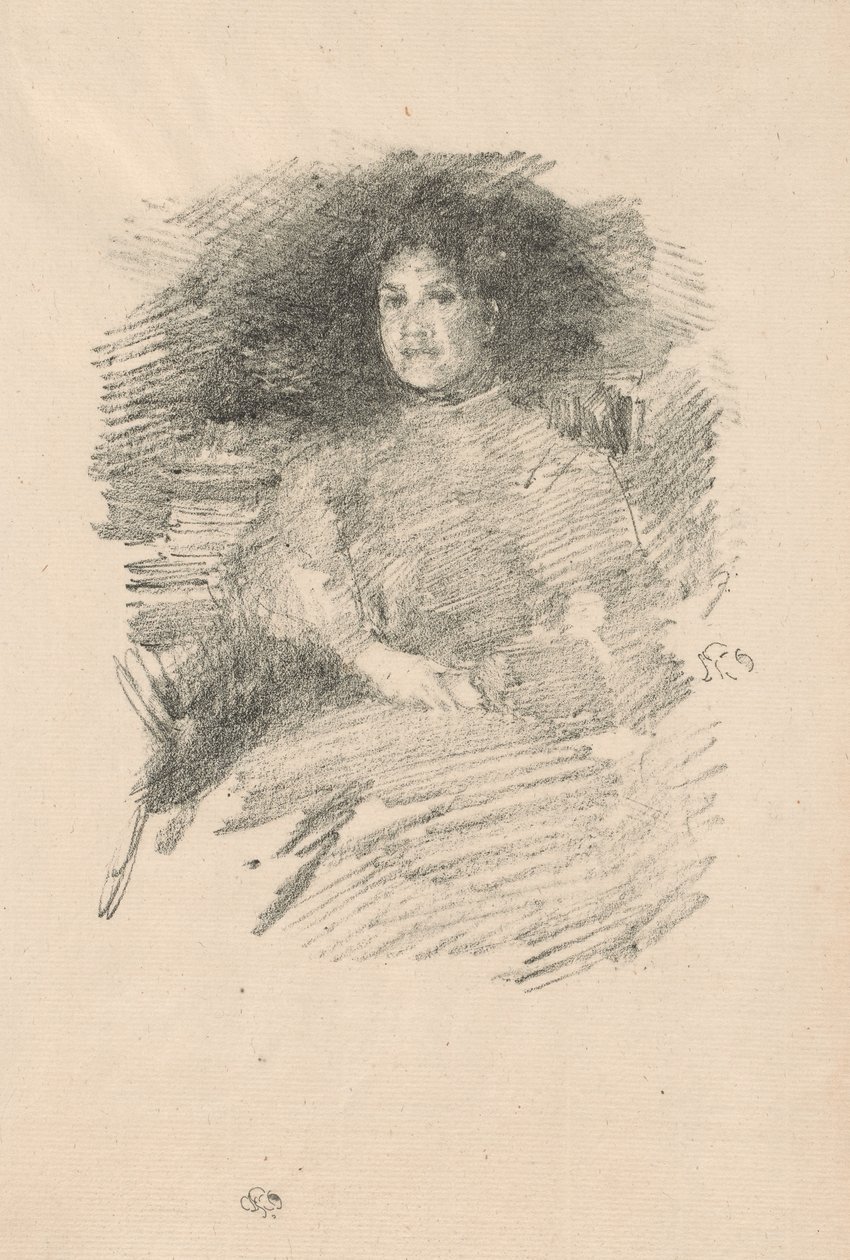 Luz do fogo de James Abbott McNeill Whistler